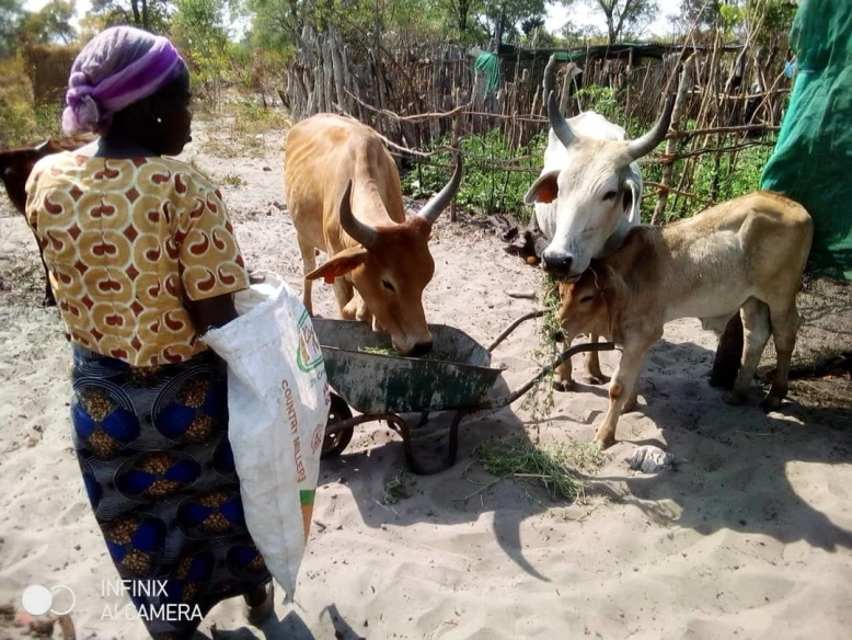 Demonstration of semi intensive management by a beneficiary