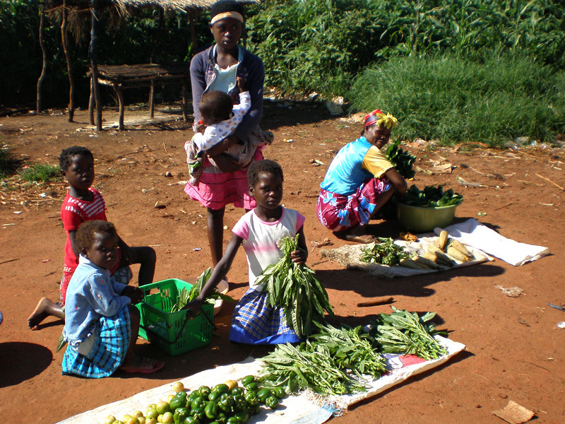 Školení farmářů a rozvoj trhu se zemědělskými produkty