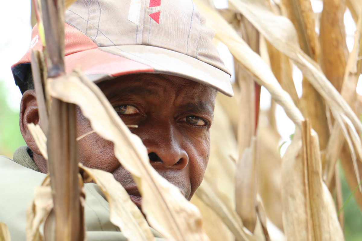 Chitanda: Odolné zemědělské systémy na podporu potravinové a nutriční bezpečnosti