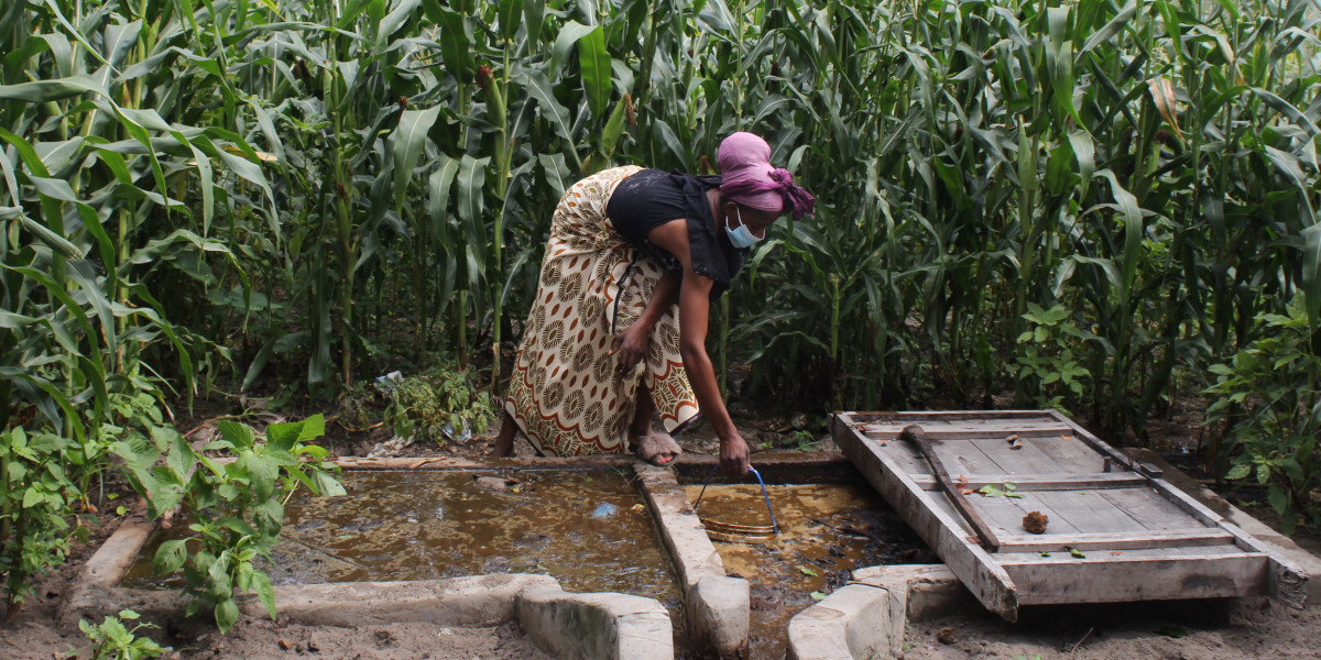 Zambie: Zavádíme bioplynové technologie pro zemědělce
