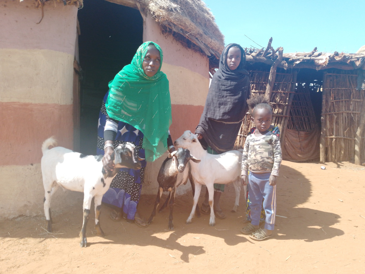 Pomáháme etiopským pastevcům, kterým sucha zničila životy