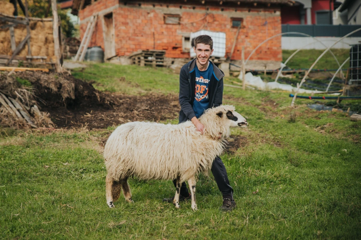 Mirzovo stádo: inspirativní příběh plný vytrvalosti a lásky ke zvířatům