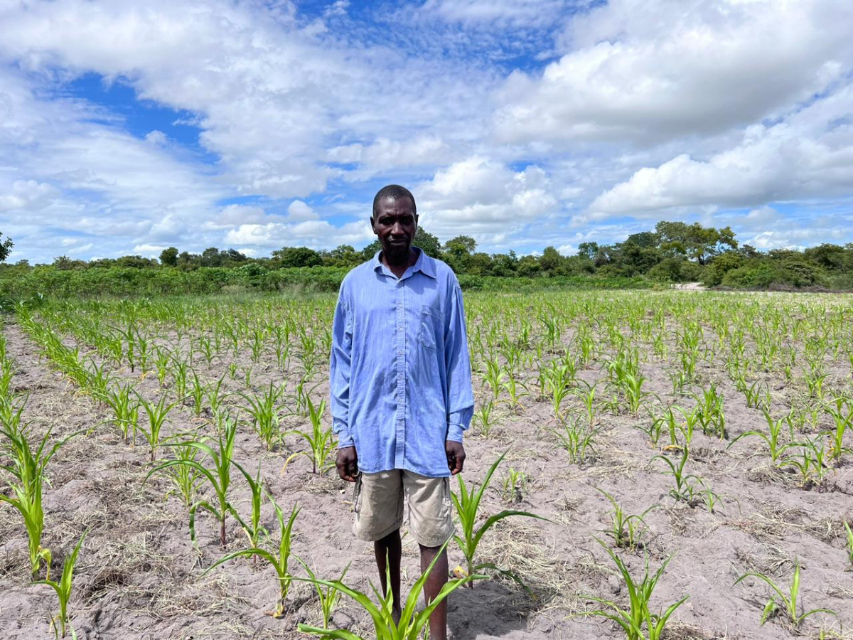 Biouhel je nadějí pro farmáře na západě Zambie