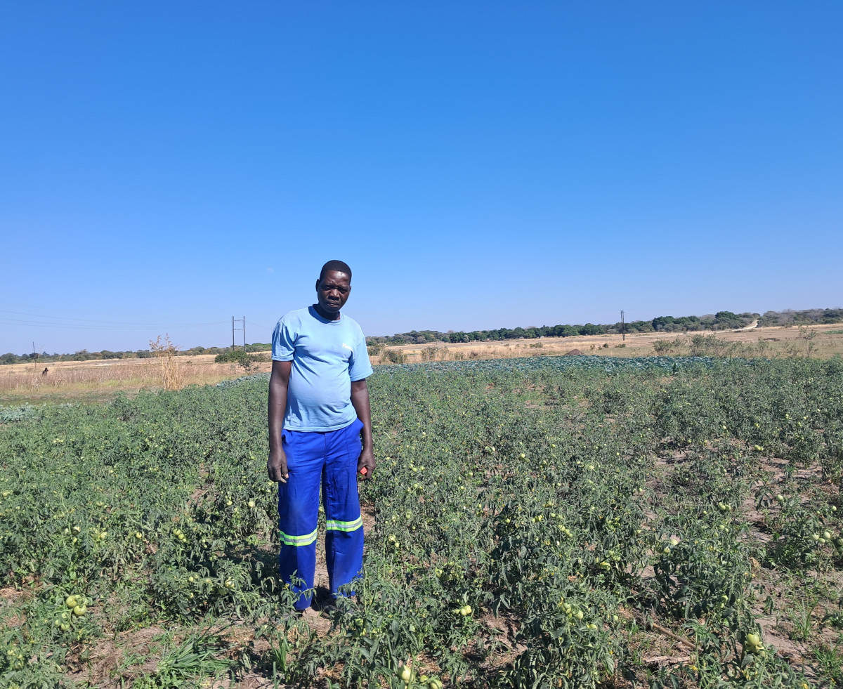 Biokal pomáhá farmářům na západě Zambie čelit suchům a potravinové nejistotě