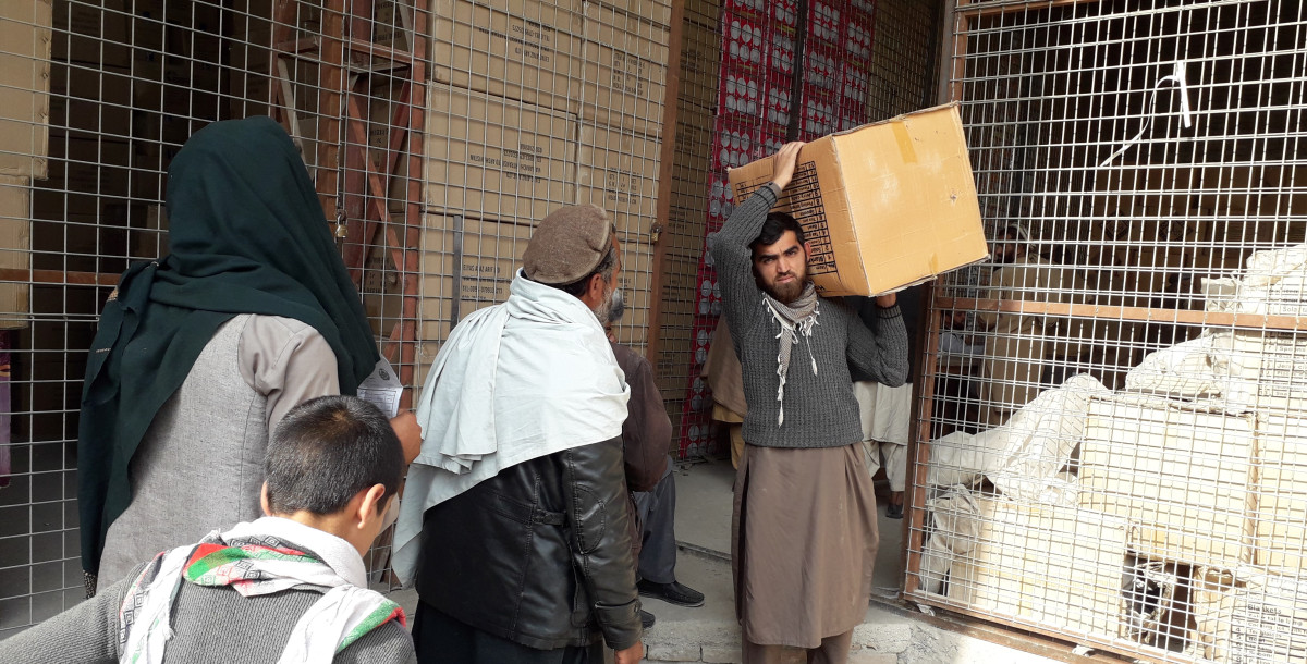 Pomoc vysídleným lidem v Afghánistánu